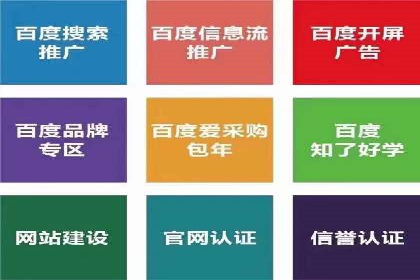 百度竞价推广公司案例：品牌知名度提升之道